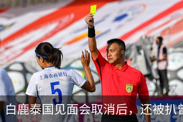 白鹿泰国见面会取消后，还被扒曾为缅北拍宣传片，知情人爆料更多
