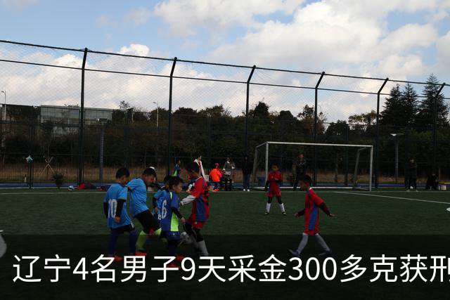 辽宁4名男子9天采金300多克获刑,村里砂土为何能淘金?土法筛金对人体和环境有何危害?
